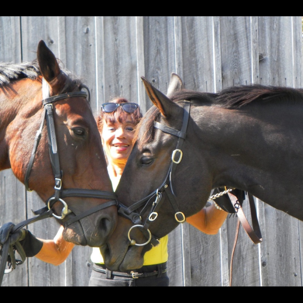 Hi: I like equestrian clothing and horse items